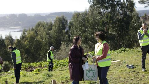 Programa Comercio Verde
