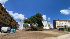 La brigada municipal de parques y jardines trabaja ya en la zona 