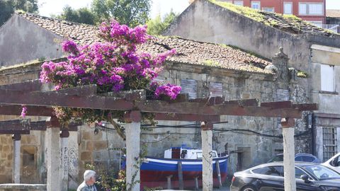 Otra perspectiva de la casa de la Sirena.