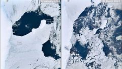 Una plataforma de hielo de 1.200 kil�metros cuadrados se desprendi� hace unos d�as en el este del continente desintegr�ndose en miles de icebergs que est�n a la deriva