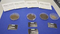 Productos obtenidos tras los bioprocesos a los que se sometieron los insectos