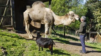 Treinta a�os de la granja escuela de Belelle, en Neda