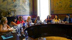 Un momento de la reuni�n de la subcomisi�n creada en la C�mara Baja para articular un pacto de Estado contra la violencia de g�nero