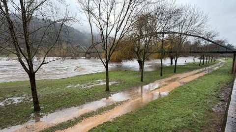 El r�o Sil a su paso por O Barco de Valdeorras este mi�rcoles por la ma�ana.