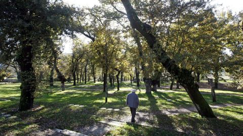 Parque de Caldas de Reis.