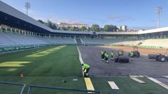 Colocaci�n del nuevo c�sped este verano en A Malata.