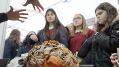 Los participantes en las aulas pueden mostrar sus proyectos en ferias cient�ficas