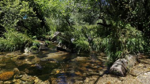 El río Avia, en Pazos de Arenteiro (Boborás).