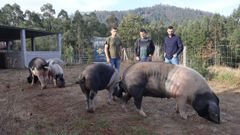 Visita de Daniel Garca  gandera Celtagal, en Mondoedo