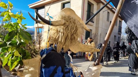 Viana acoge la mayor mascarada de la Pennsula Ibrica.Entre los participantes haba entroidos vascos.