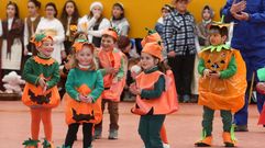 �lbum: fiesta de carnaval en el CEIP Lagostelle