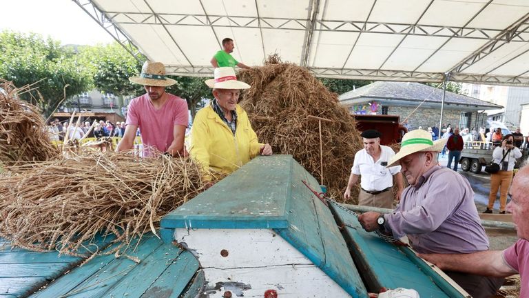 A Festa da Malla celebra a sa XXXIII edicin incorporando varias novidades ao seu programa
