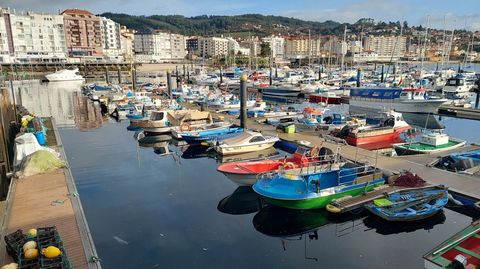 Barcos de bajura atracados en Sanxenxo, uno de los puertos donde este lunes no sali&oacute; nadie al mar