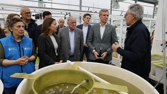 Visita de Alfonso Rueda al criadero de semilla de bivalvos de O Vicedo