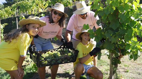La experiencia en�Vi�a Costeira�incluye una cata de uvas y vinos y una cesta repleta de suculentas viandas y vino para disfrutar en cualquier parte del vi�edo.