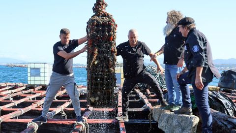 El bateeito &Oacute;scar Otero, el bodeguero Rodrigo&nbsp;M&eacute;ndez, el en&oacute;logo Ra&uacute;l P&eacute;rez y el gerente de Discarlux, Xos&eacute; Portas, sacando las botellas del mar