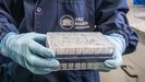 Fotograf�a cedida por ANLIS Malbr�n, que muestra a una persona sosteniendo una bandeja con tubos de laboratorio en Buenos Aires (Argentina)