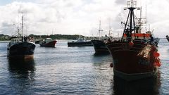 Imagen de la flota palangrera de Ribeira, en 1996
