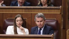 El l�der del PP, Alberto N��ez Feijoo, ayer en el pleno del Congreso.
