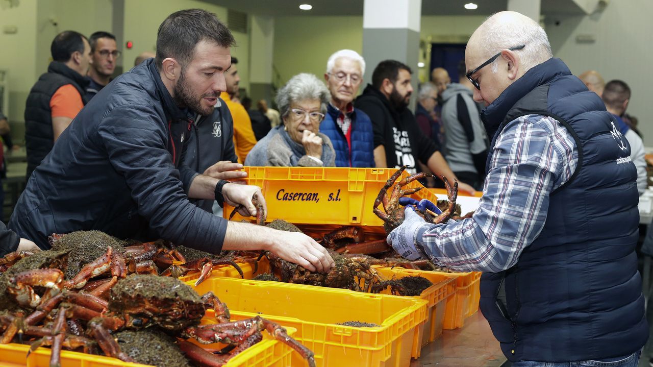 Faenar O Grove espera el centollo como agua de mayo tras semanas sin faenar