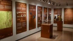 El museo y el castro de Viladonga, en im�genes