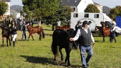 Las actividades con caballos est�n presentes este domingo en Mondo�edo. 