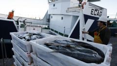 La Administraci�n gallega pide la m�xima flexibilidad para que el veto a los descartes no paralice la pesca. 