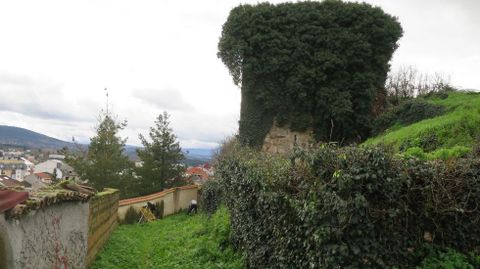 Torre de la muralla tapada por la vegetacin en las cercanas de la Porta Nova