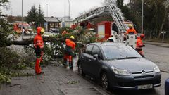 Un �rbol cae sobre un coche aparcado en la r�a Pablo Iglesias