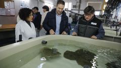 O conselleiro do Mar, este martes durante a visita ao Igafa da Illa