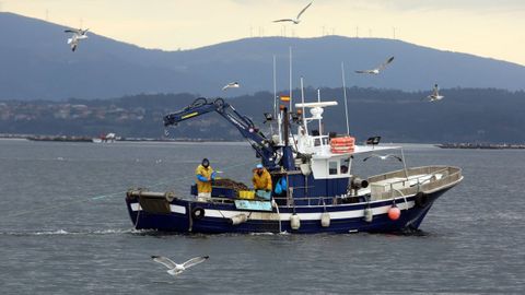 O sector primario contribu�u en xullo a encadear por segundo mes un novo r�cord da cifra m�is baixa de parados rexistrados do sur de Arousa.