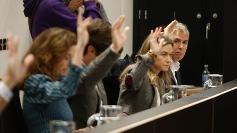 Grupo municipal del PP en Pontevedra, que logró sacar adelante sus tres mociones en el pleno de este lunes