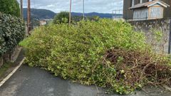 La calle qued� bloqueada el lunes por la ma�ana