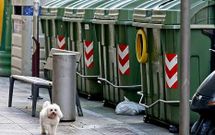 Pontevedra env�a algo m�s de dos mil toneladas de basura cada mes a a Sogama.