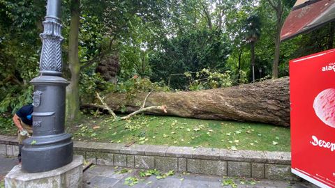 Campo de San Francisco