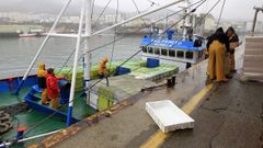 Datos de 21 pincheiros de Gran Sol de Burela, como este, certifican las p�rdidas en los primeros 50 d�as del veto a toda la pesca de fondo en 87 �reas de Espa�a, Portugal, Francia e Irlanda