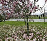 La primavera ya comienza a dejarse sentir en la comarca en todo su esplendor. 