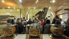 Fragata �Magdalena�. En una de las antiguas fraguas en las que se asienta el museo est�n los restos de este buque de la Armada espa�ola (al fondo en la imagen) y que era gemelo del �Magdalena�, famoso porque la empresa cazatesoros Odyssey Marine Exploration se hizo con �l en el 2007 y fue necesario un largo litigio para que Espa�a recuperase el pecio. 