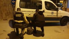 Guardapescas de la cofrad�a de Cabo con bivalvo decomisado