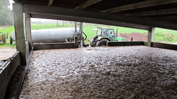 Balsa de pur&iacute;n a punto de desbordar en la zona de Mazaricos