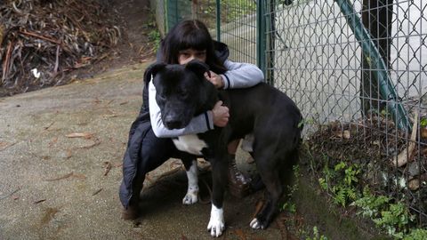 Hendryx es el perro que ms tiempo lleva en la perrera, 5 aos, y est en adopcin