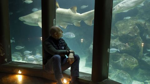 El tibur�n Gast�n, justo detr�s, y su cuidador, Antonio Vilar