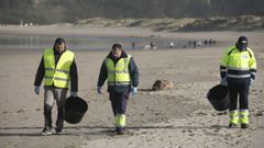 Una de las recogidas de p�lets de pl�stico organizadas este s�bado en Asturias.