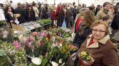 Feria en San Sadurni�o