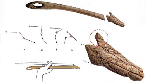 Una representacin del posible uso, como lanzador, de la herramienta prehistorica tallada de la que se habra desprendido el Caballn de la Via, encontrado en un yacimiento arqueolgico de Oviedo