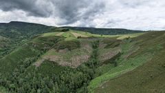 Terreno en el que se realiz la compleja plantacin, una de las primeras en Espaa de Cruz Roja