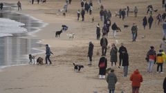 Paseantes y perros en la playa de San Lorenzo, en Gij�n