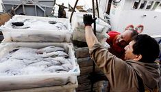 La nueva ley plantea sanciones por no desembarcar todo lo que se pesque.