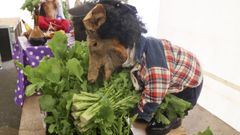 Una de las originales cestas presentadas al concurso de la Feira do Grelo de Xestoso.