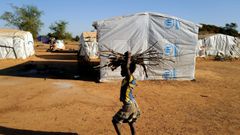 Una ni�a que huy� del Sahel con su familia transporta le�a en un campamento de refugiados en Burkina Faso.